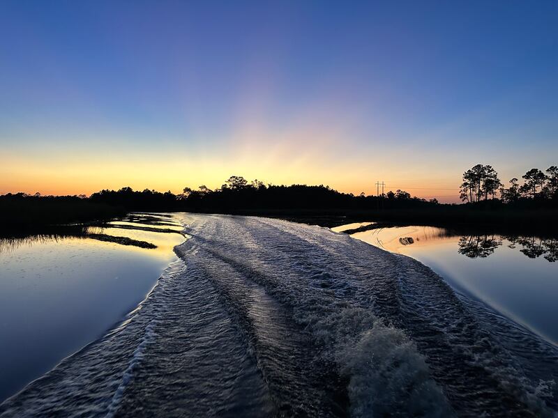 Random landscapes from Bay St. Louis, MS.